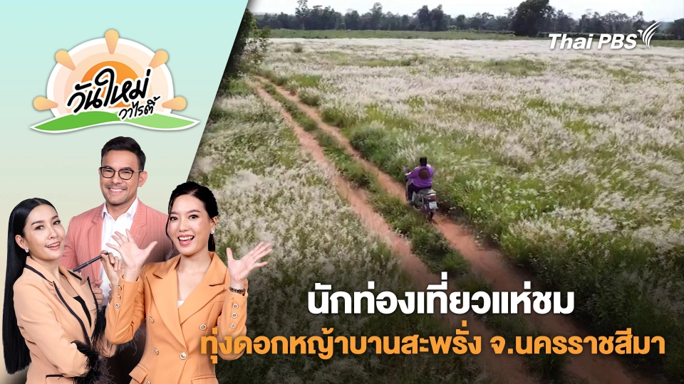 นักท่องเที่ยวแห่ชมทุ่งดอกหญ้าบานสะพรั่ง จังหวัดนครราชสีมา | วันใหม่วาไรตี้ | 4 มิ.ย. 68
