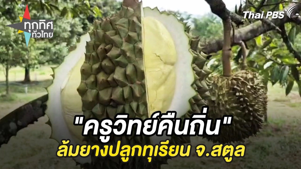 "ครูวิทย์คืนถิ่น" ล้มยางปลูกทุเรียน จ.สตูล