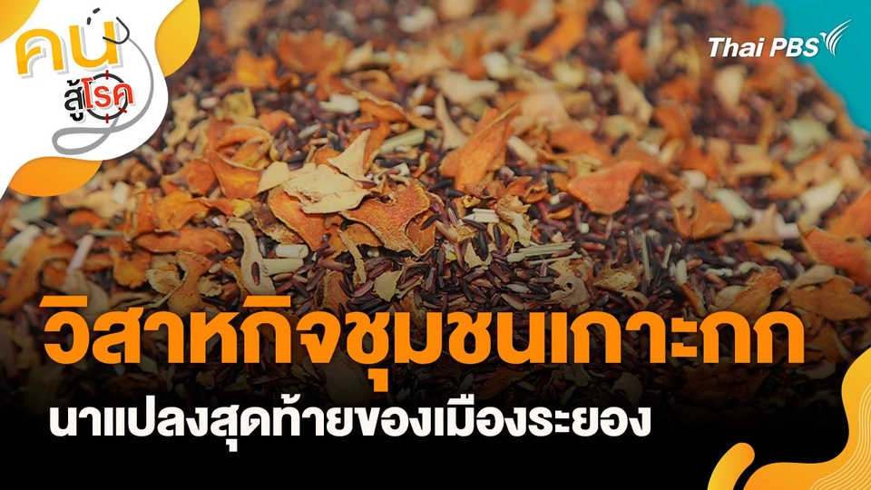 วิสาหกิจชุมชนเกาะกก นาแปลงสุดท้ายของเมืองระยอง