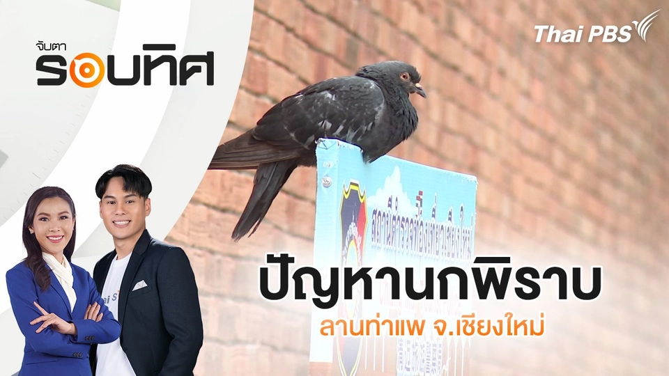 ปัญหานกพิราบลานท่าแพ จ.เชียงใหม่ | จับตารอบทิศ | 20 มิ.ย. 68