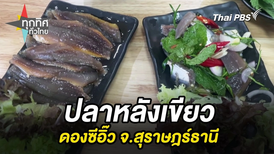 ปลาหลังเขียวดองซีอิ๊ว จ.สุราษฎร์ธานี