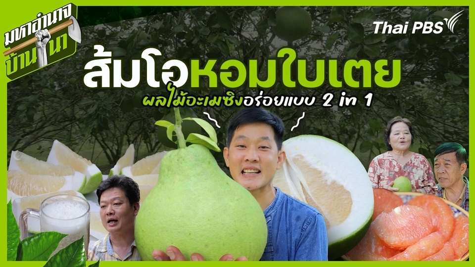 ส้มโอหอมใบเตย อร่อยแบบ 2 in 1