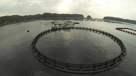 มหาวิทยาลัยวิจัยไม่ง้อเงิน ตอน 2