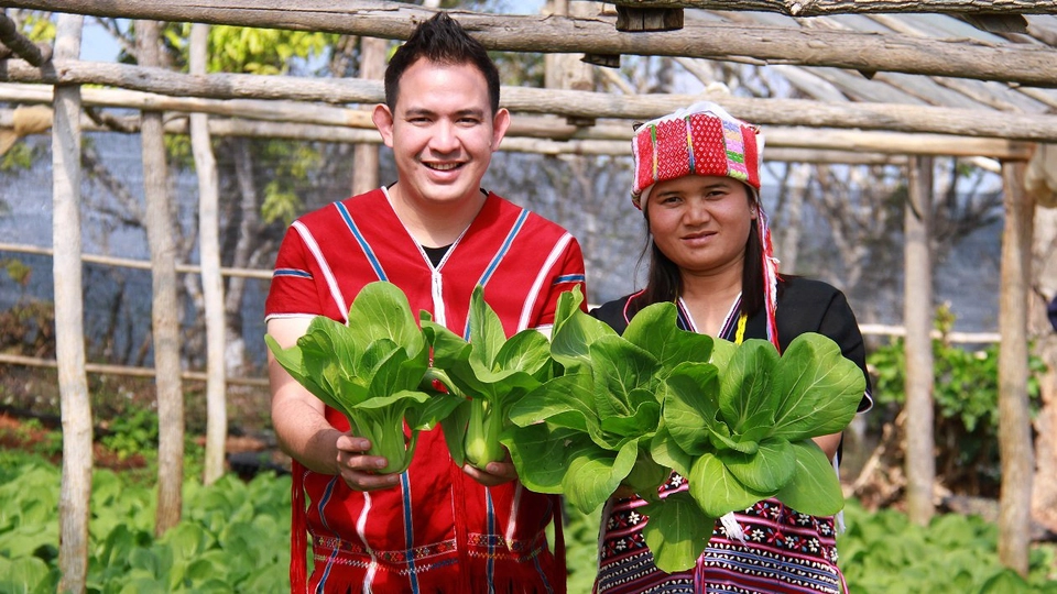 ผักกาดฮ่องเต้