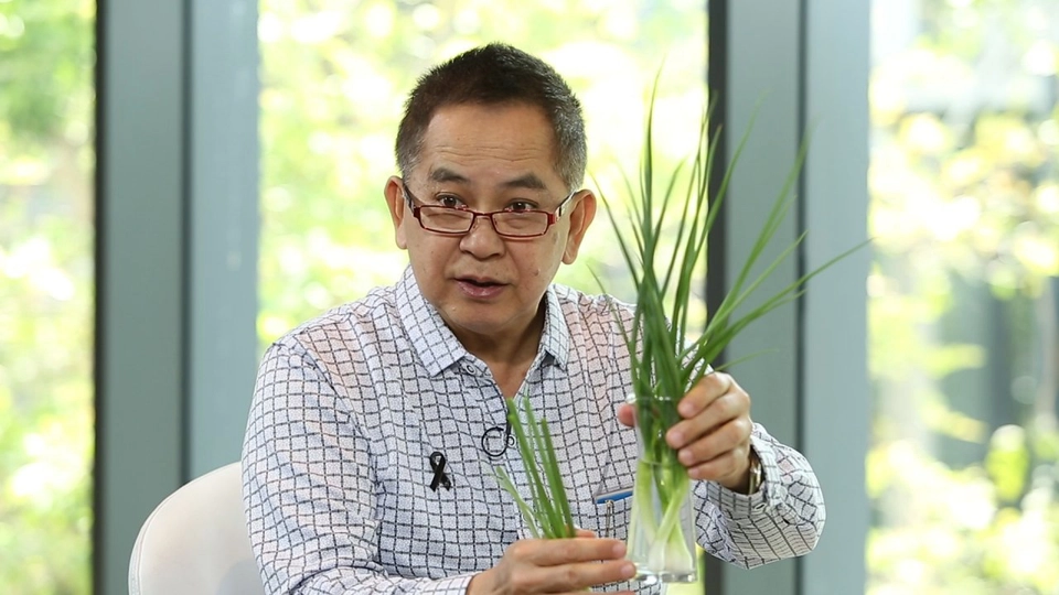 ต้นหอมดี มีประโยชน์, แก้ไหล่ห่อ คอยื่น หลังค่อมจากการติดสมาร์ทโฟน