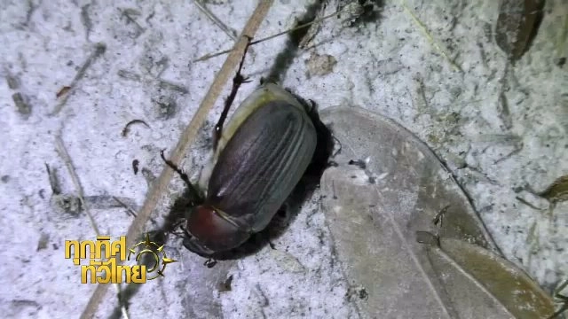 ประเด็นข่าว (23 มี.ค. 60)