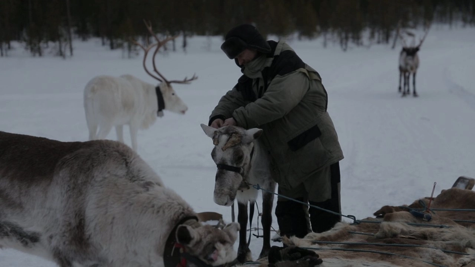 สุดแดนรัสเซียที่ขั้วโลก