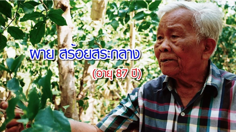 พ่อผาย / สมุนไพร 5 พลัง