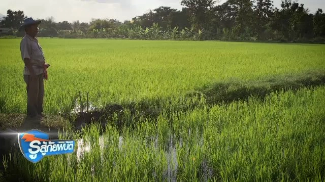 ภัยแล้งกับการปรับตัวของเกษตรกร