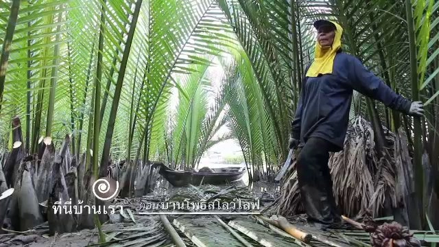 บ้านโพธิ์สโลว์ไลฟ์