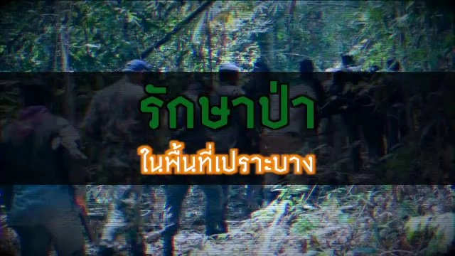 รักษาป่าในพื้นที่เปราะบาง