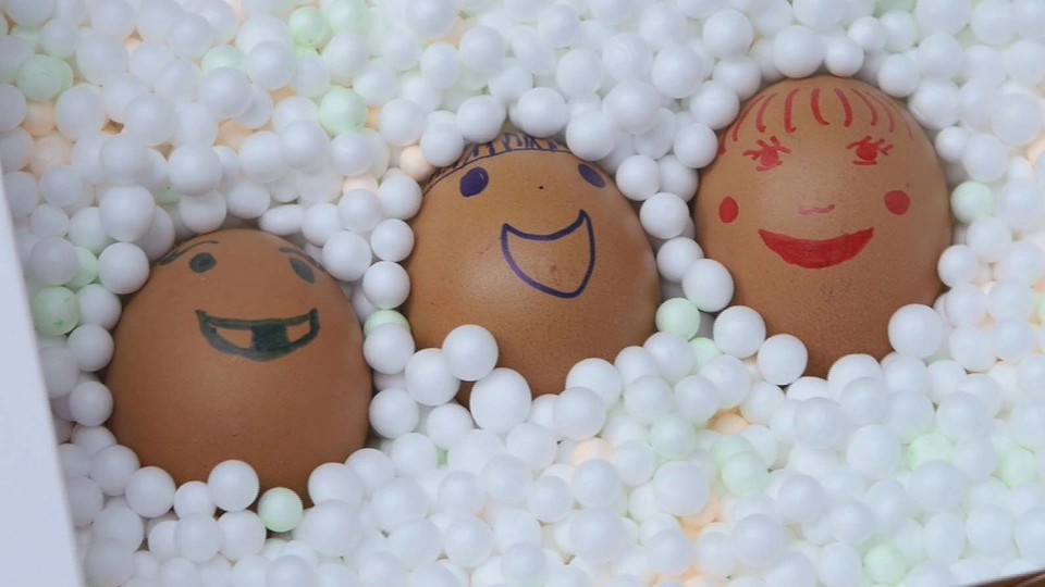 โฟมผู้พิทักษ์