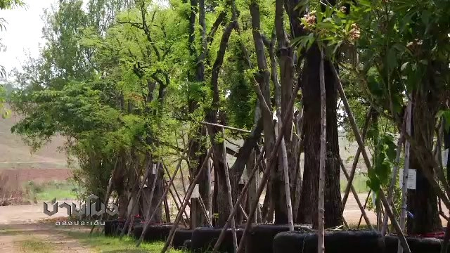 ประเด็นข่าว (25 เม.ย. 60)