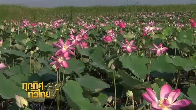 ประเด็นข่าว (28 เม.ย. 60)