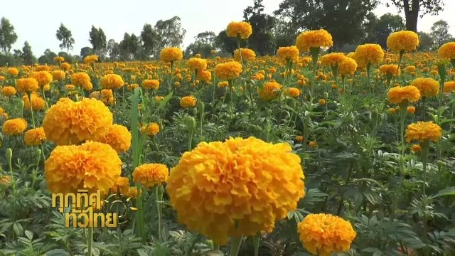 ประเด็นข่าว (2 พ.ค. 60)