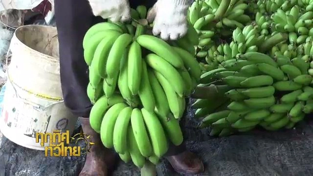 ประเด็นข่าว (3 พ.ค. 60)