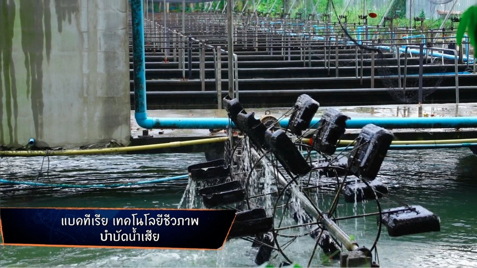 จุลินทรีย์บำบัดน้ำ