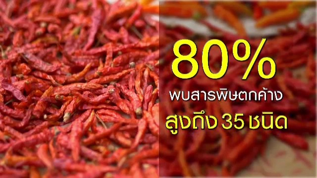 ผัก(ปลอด)สารพิษ