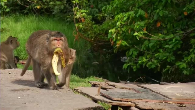 ประเด็นข่าว (4 พ.ค. 60)