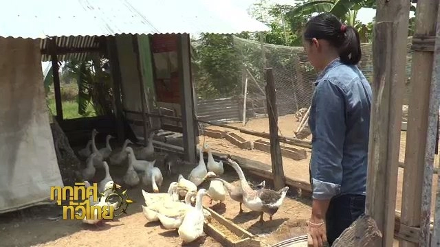 ประเด็นข่าว (11 พ.ค. 60)