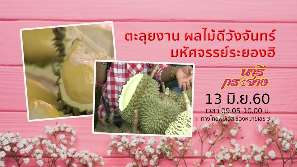 ตะลุยงาน "ผลไม้ดีวังจันทร์ มหัศจรรย์ระยองฮิ"