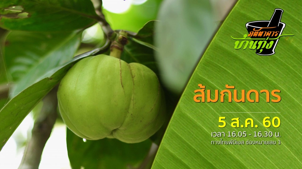 ส้มกันดาร