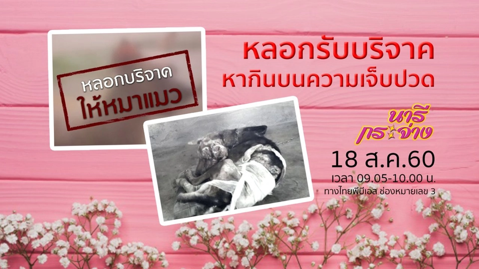 กินอยู่ปลอดภัยกับเมนูเปิบพิสดาร, ขนสัตว์กับโรคภูมิแพ้ของคน