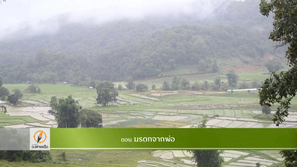 มรดกของพ่อ