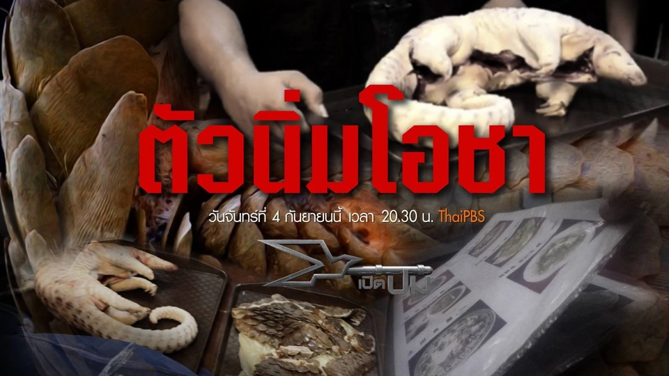 ตัวนิ่มโอชา