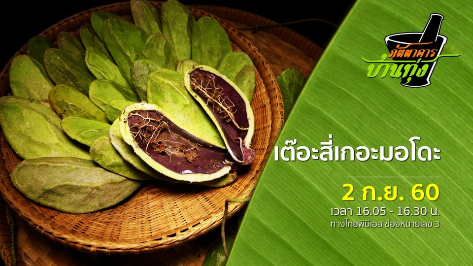 เต๊อะสี่เกอะมอโดะ