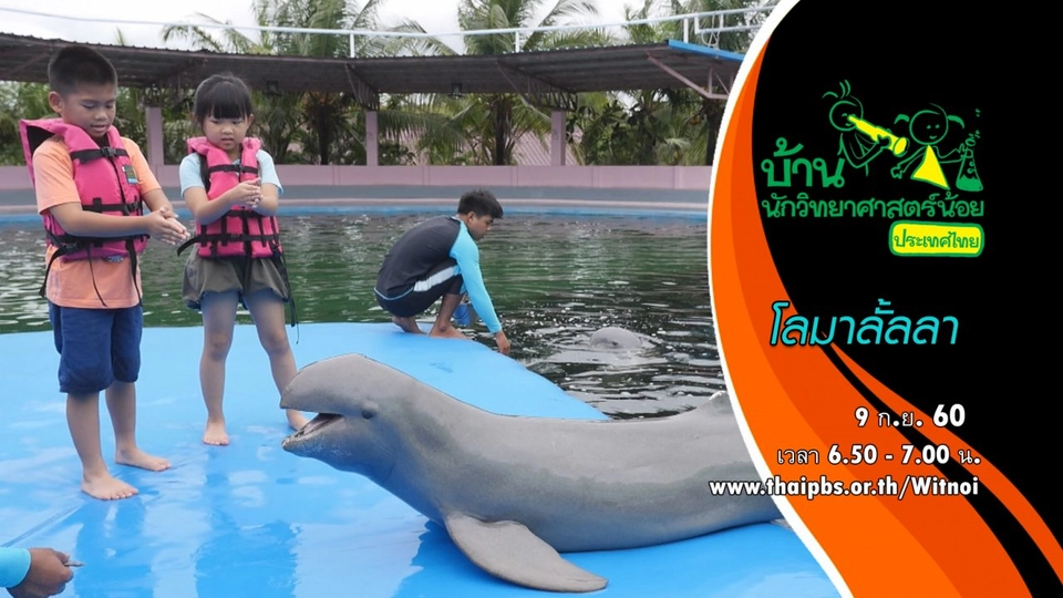 โลมาลั้ลลา