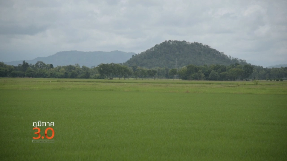 หนองตอกแป้น แก่นฮัก, ก่อนจะเป็นนาแปลงใหญ่, พลิกวิกฤติผลไม้ชายแดนใต้ สู่ครัวโลก