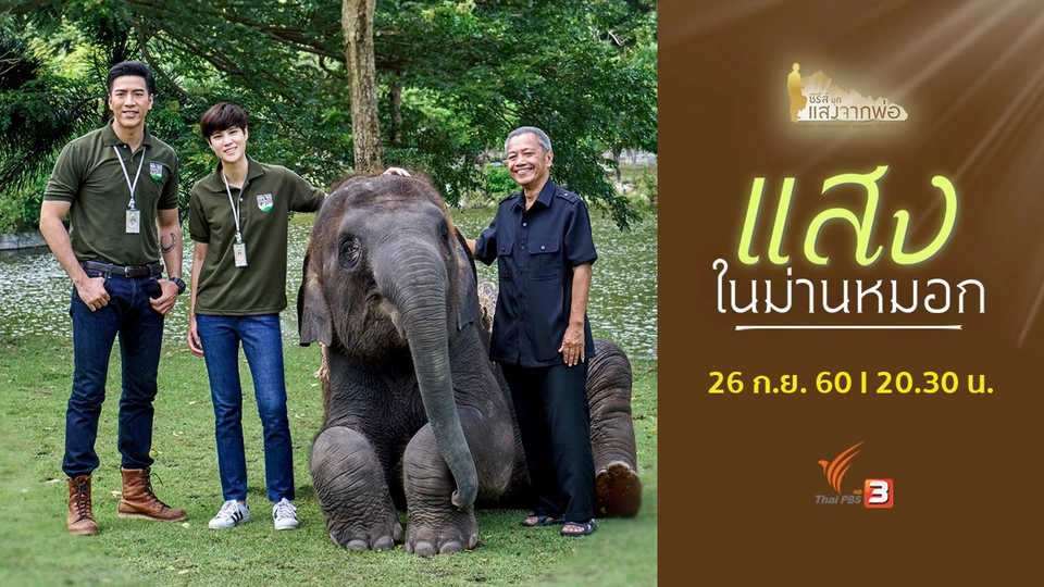 แสงในม่านหมอก