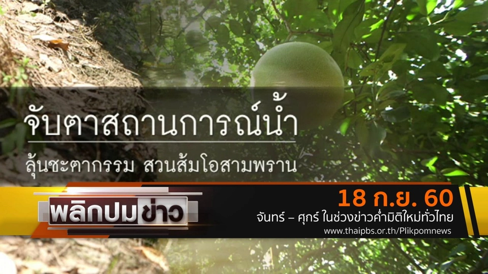 จับตาสถานการณ์น้ำ ลุ้นชะตากรรมสวนส้มโอสามพราน