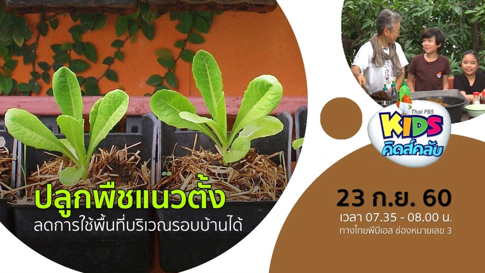 ปลูกพืชแนวตั้ง