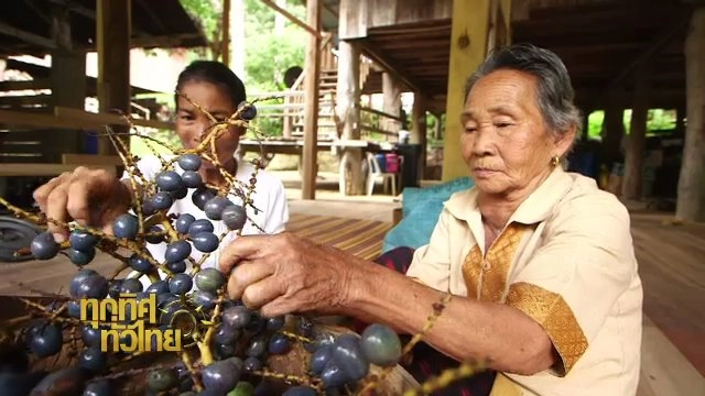 ประเด็นข่าว (19 ก.ย. 60)