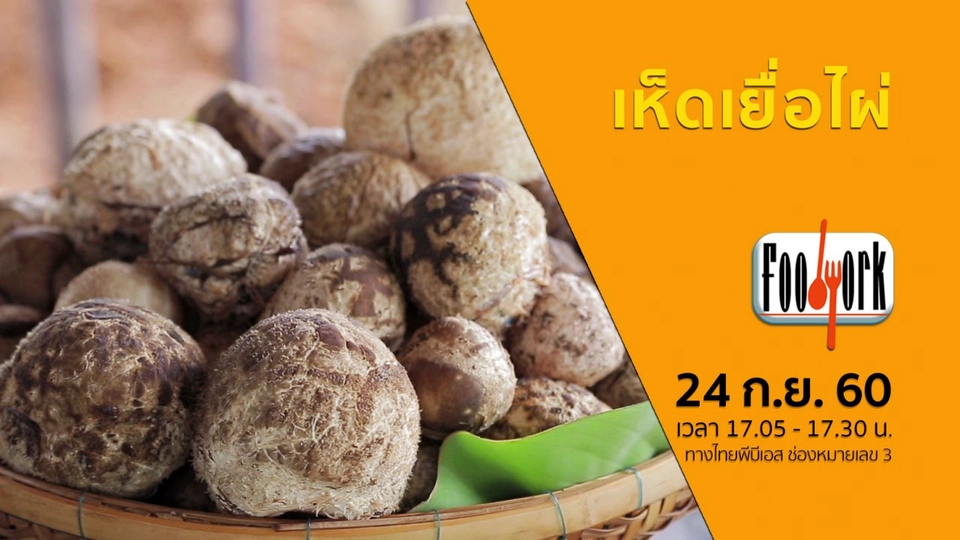 เห็ดเยื่อไผ่