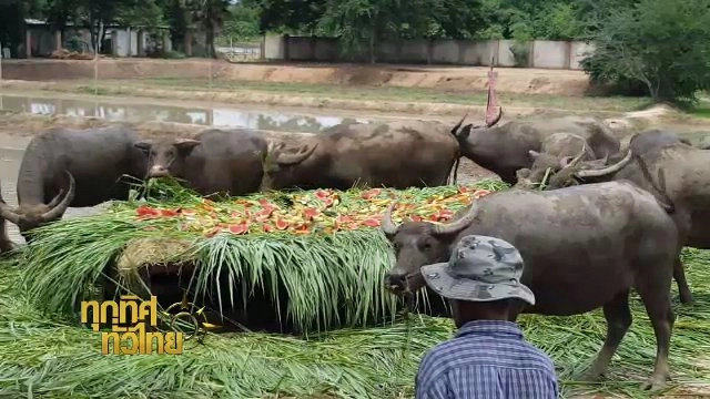 ประเด็นข่าว (16 พ.ค. 60)