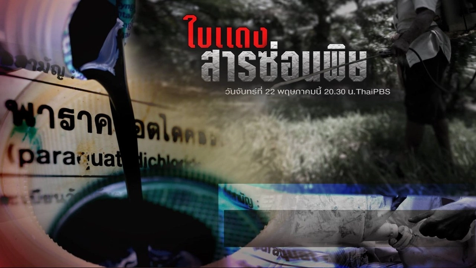 ใบแดงสารซ่อนพิษ