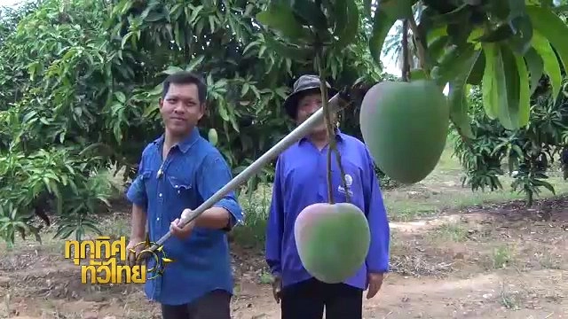 ประเด็นข่าว (22 พ.ค. 60)