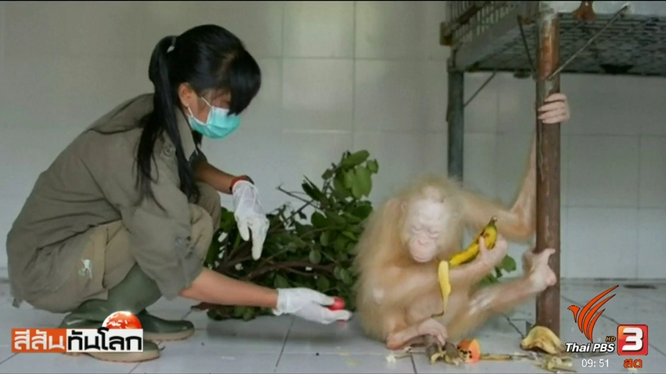 ประเด็นข่าว (20 พ.ค. 60)