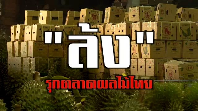 "ล้ง" รุกตลาดผลไม้ไทย