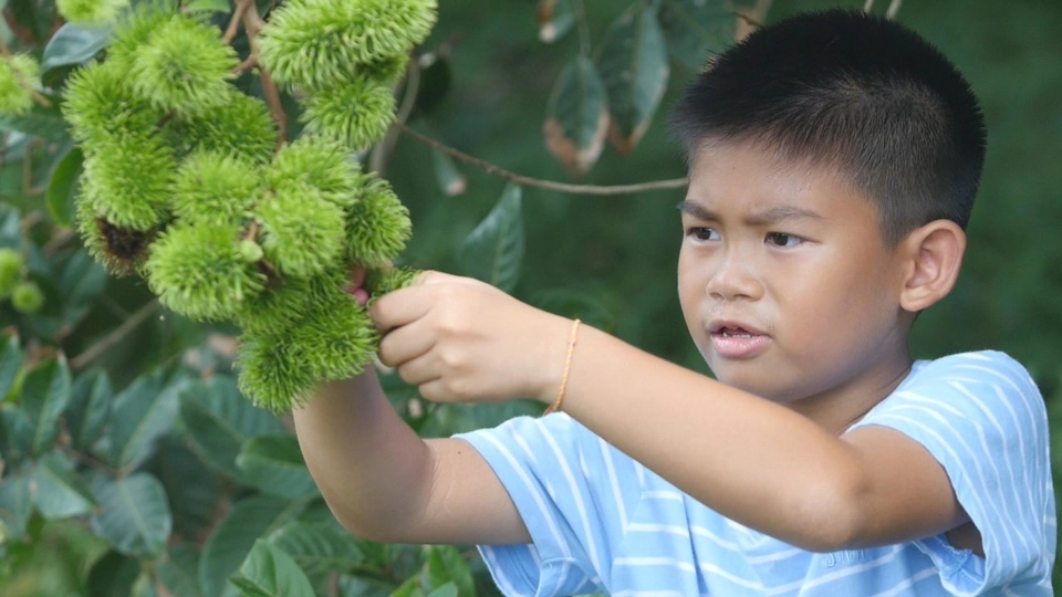 สุกๆ ดิบๆ
