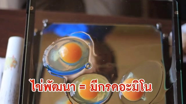 ไก่บ้าน ตู้เย็นมหัศจรรย์ กับมายองเนสสูตรพิเศษ