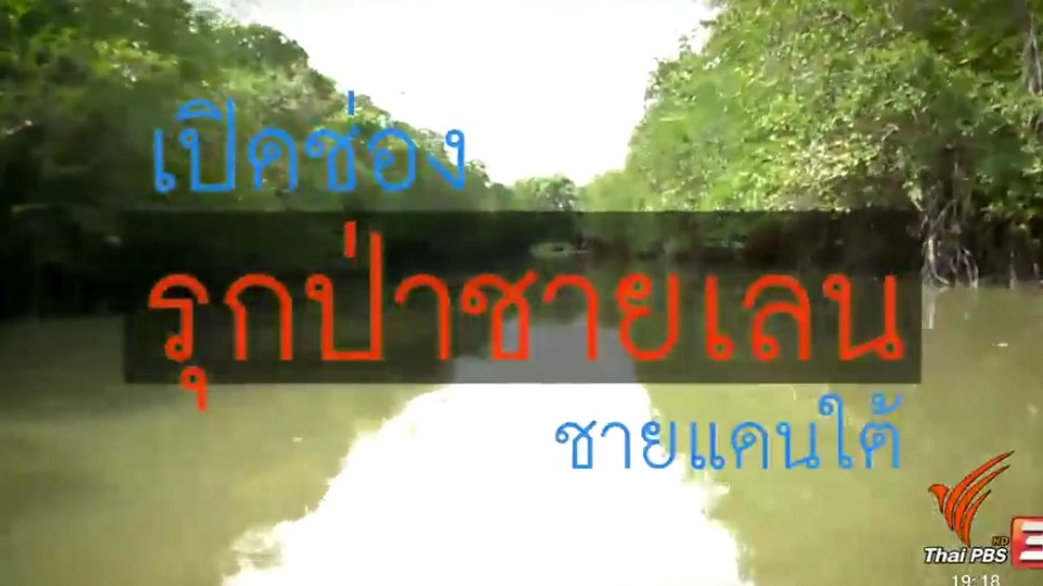 เปิดช่องรุกป่าชายแดนใต้