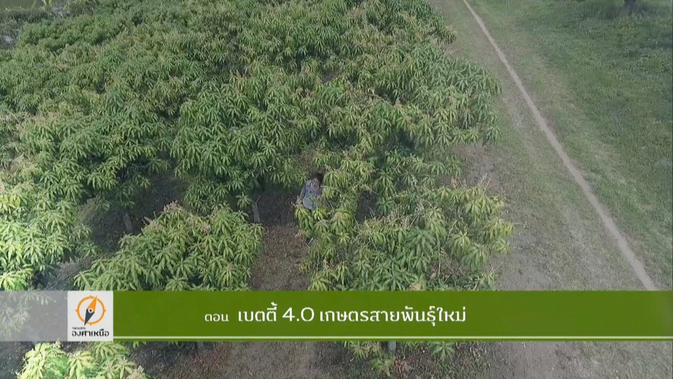 เบตตี้ 4.0 เกษตรกรพันธุ์ใหม่​