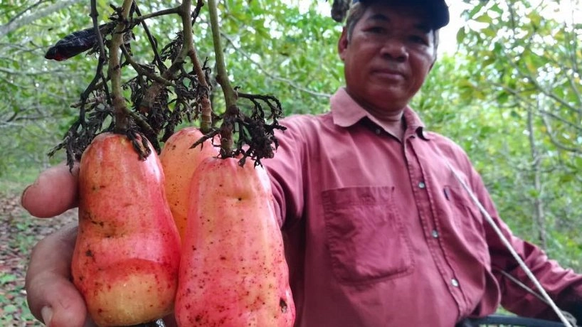 ประเด็นข่าว (29 พ.ค. 60)