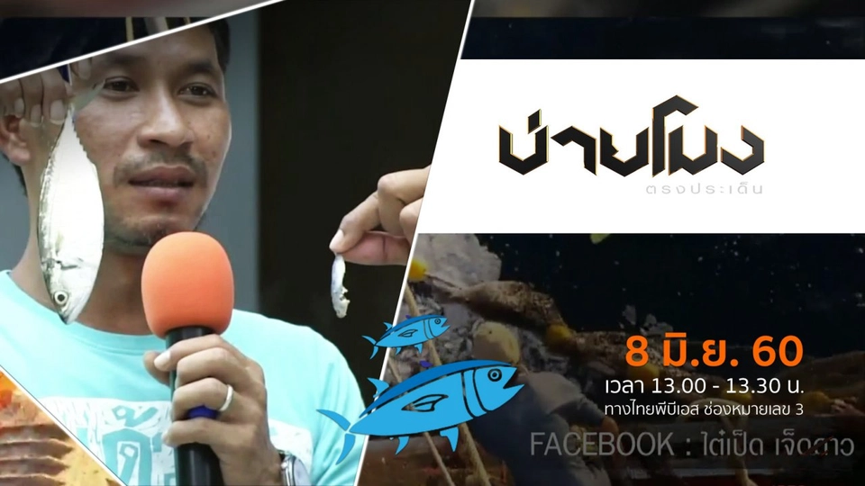 ประเด็นข่าว ( 8 มิ.ย. 60)