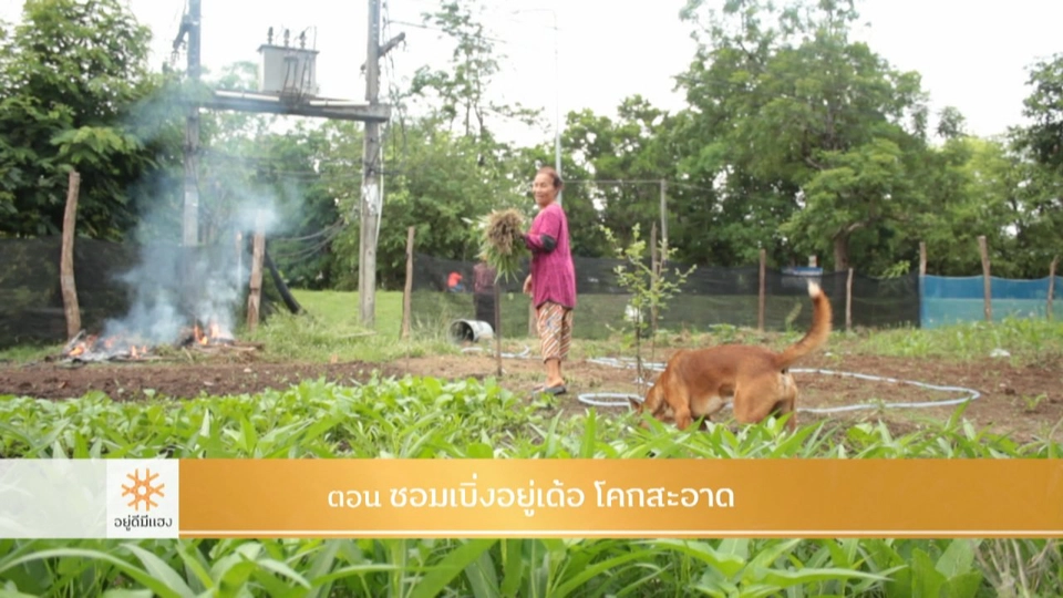 ซอมเบิ่งอยู่เด้อ โคกสะอาด​