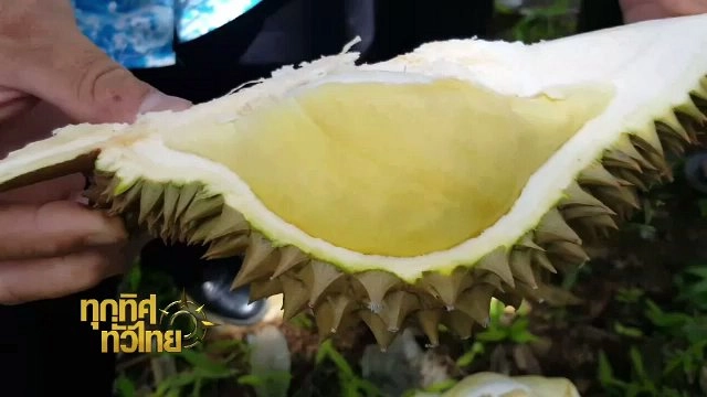 ประเด็นข่าว (16 มิ.ย. 60)